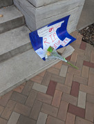 PXL_20250917_231948311