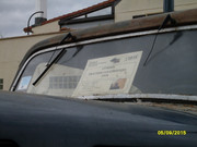SDC13067.jpg