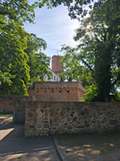 20260725-091431.jpg