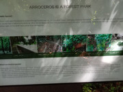 Arroceros-Forest-Park-Manila-Bagras20260715-142051