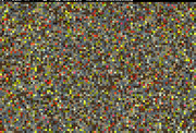 scrambled_kodim03.png