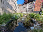 PXL-20250513-071102935-MP