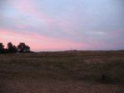 Teknival BG. 2017 (114)