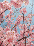 photo 4 2026 01 16 22 11 28