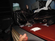 43.11.terror groupie's kids XI