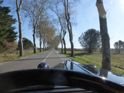 P1040833.jpg
