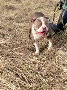 IMG_20230416_015735_011