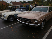 IMG-20221023-104222.jpg