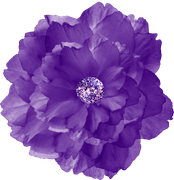 MVDLavender-Love-001