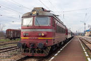 IMG-3111