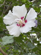 IMG-9476