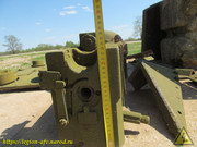 IMG-9481