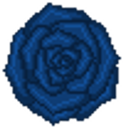 blue-rose