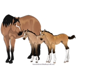 8322C437-6E76-40CA-86D7-5179A56390B7