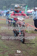 IMG-0170