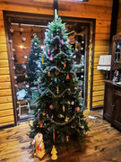 IMG_20211225_095644_357