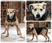 Be-Funky-collage-22.jpg&key=663f5daf36cc