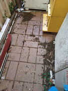 photo_2020-08-26_17-11-39