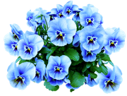 april-showers-SD-88