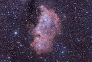 ic1848joeb2ps.jpg