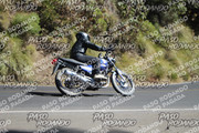 IMG-1351