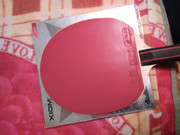 IMG_20151126_105503_1