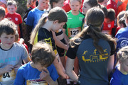 IMG-8452