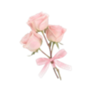 tumblr-205a6006a2fcc33c7a67889daee0875f-3e36b9b0-250