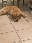 image_2023-02-02_231344226