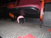 68.2.concerto night II