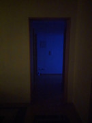 IMG_20211225_001656_tigr