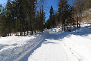 IMG-1494x