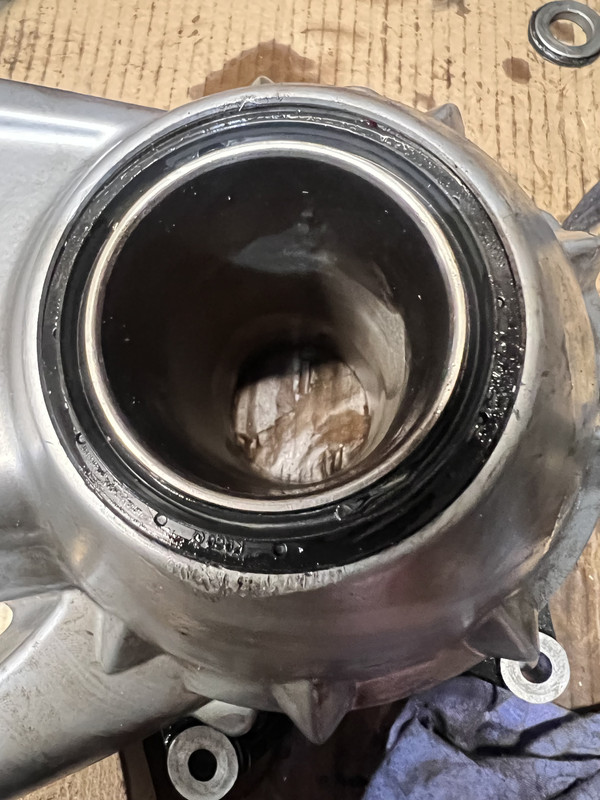 533D03D6-D109-497C-AB2D-117AC45D7C93