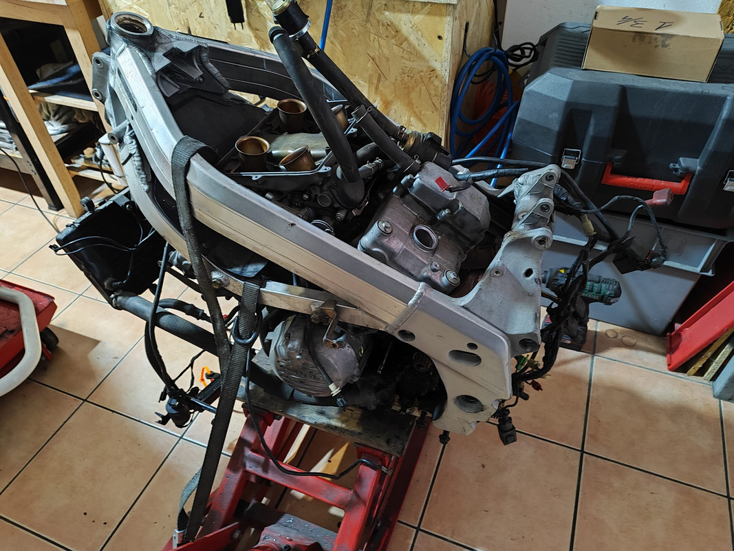 WhatsApp Image 2025-03-28 at 08.14.09 (1)