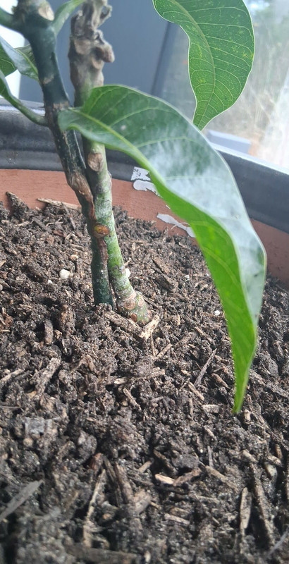 d27ca299 607a 43ce 86ca 77fe72cb712e