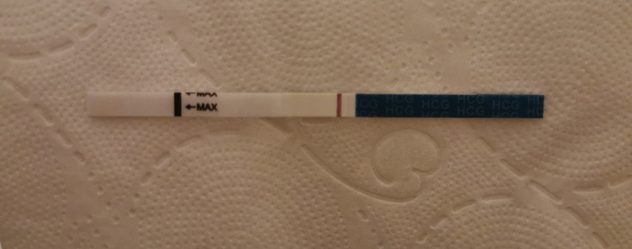 IMG_20211024_062206_edit_2072872053200888