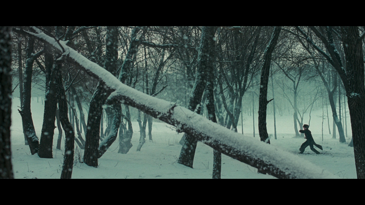 vlcsnap-2022-06-18-11h09m46s479