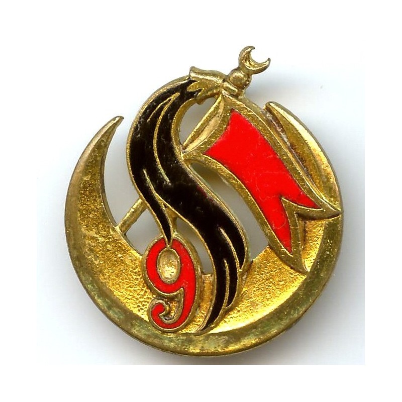 9-gpe-d-escadrons-de-spahis-algeriens-fanion-guilloche