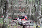 IMG-6457