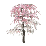 1a42a5e3b43e7bcee59d576ed173db02