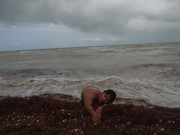 DSC00387