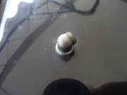 DSC03010.jpg