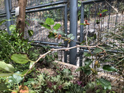 photo-iherbalgarden-3rd-027