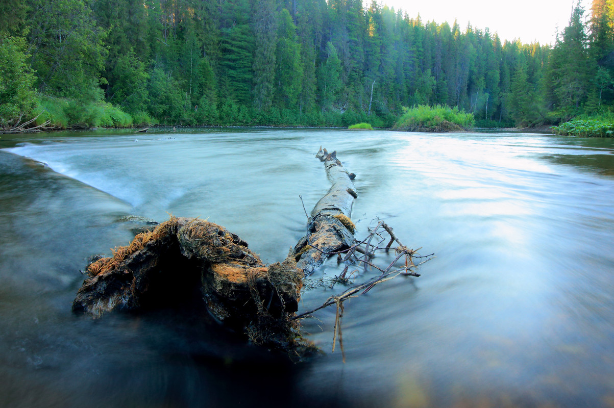 IMG_6038 (9000 x 5987)