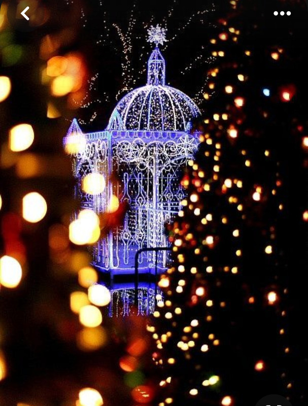 Screenshot_20231125_214910_Pinterest