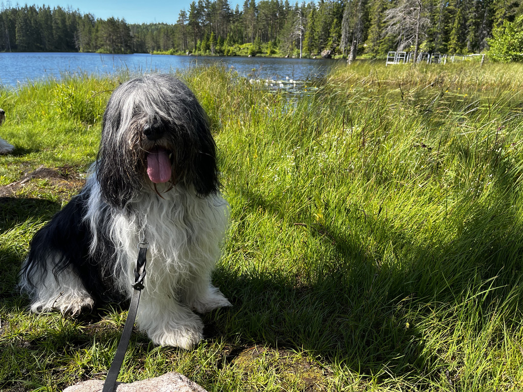 0072D24F-D548-48F5-A06A-C5671EA707D2