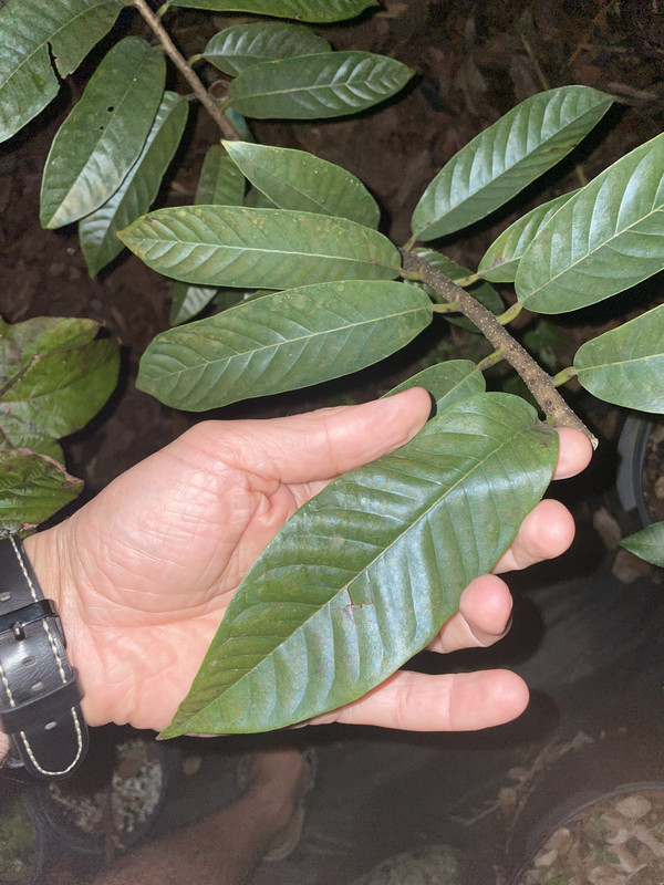 0E4E115F-DF05-4EC1-8E0D-C0E419B9D9E2