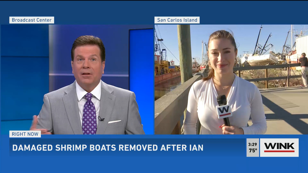 01.06 - 20.00.00 - WINK News at 3pm  ᴺᵉʷ..ts_snapshot_00.31.22.807