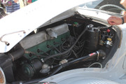 IMG-3894.jpg