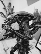 [Obrazek: 20241025-181347.jpg]